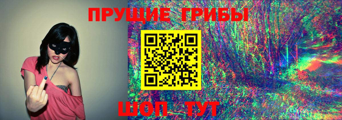 Галлюциногенные грибы GOLDEN TEACHER Минусинск